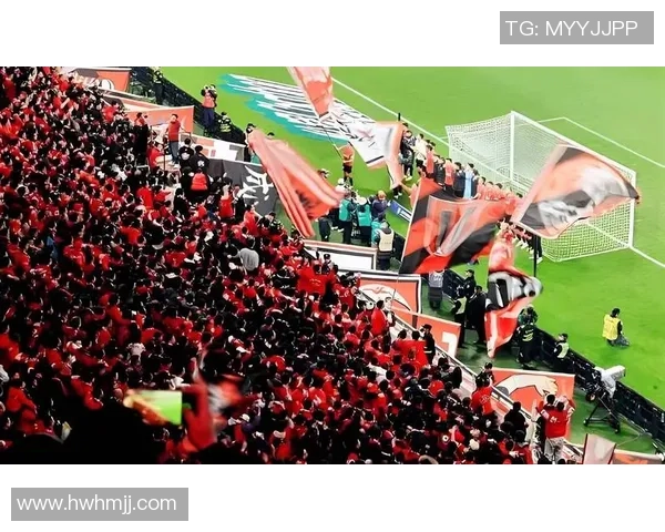 墨尔本城与新城堡联队的激烈对决揭示足球魅力与团队精神