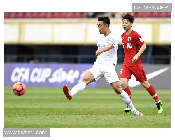 大连对阵天津天海精彩直播全程回顾与赛后分析