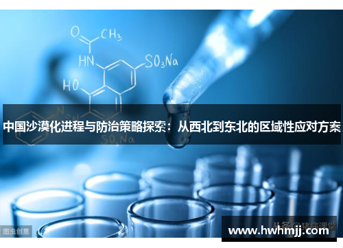 中国沙漠化进程与防治策略探索：从西北到东北的区域性应对方案