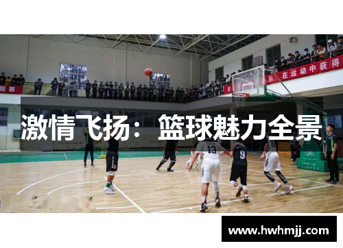 激情飞扬：篮球魅力全景