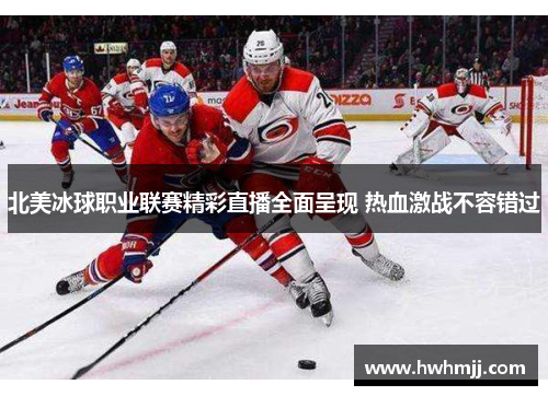 北美冰球职业联赛精彩直播全面呈现 热血激战不容错过